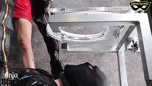 Dört komple döl tamamen yutuyor