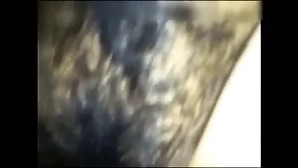 siktir et çinli piliç