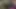 Polina'nın ayakları yüzünde - (çoraplı rüya kızları)
