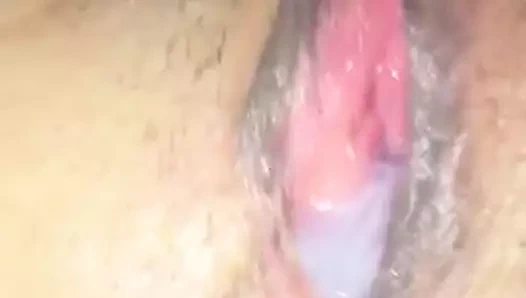 Latin karısı tohumlama