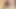 Sarışın orta yaşlı seksi kadın erkek arkadaşı tarafından ormanda sikiliyor