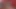 Travesti bakış açısı oral seks hd