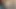 KEDİ olduğunu her zaman aç için ham horoz
