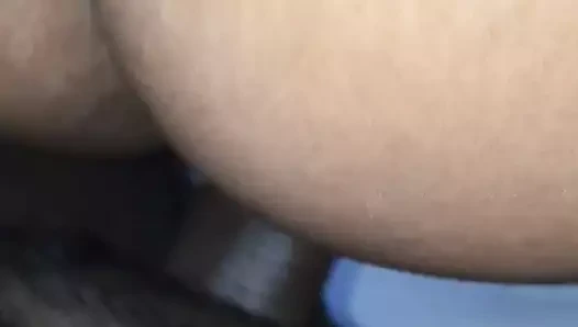 Abanoz eş köpek stili