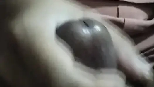 Bir komşus un karısı binmek istiyor