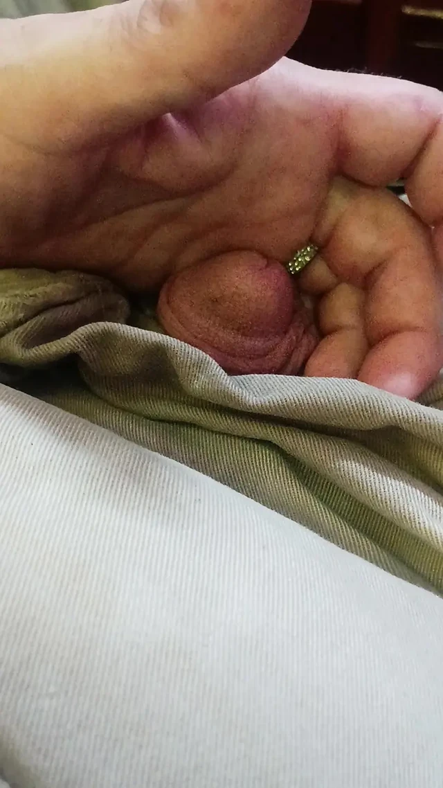 Sidik Domuzu İbne Oğlan