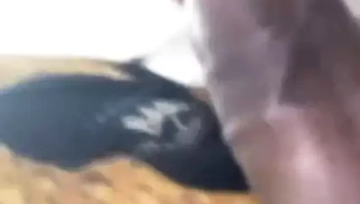 Punheta com o paizao