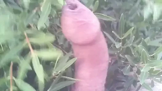 Denize giden yolda çıplak yürümek