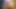 purle panites teaser