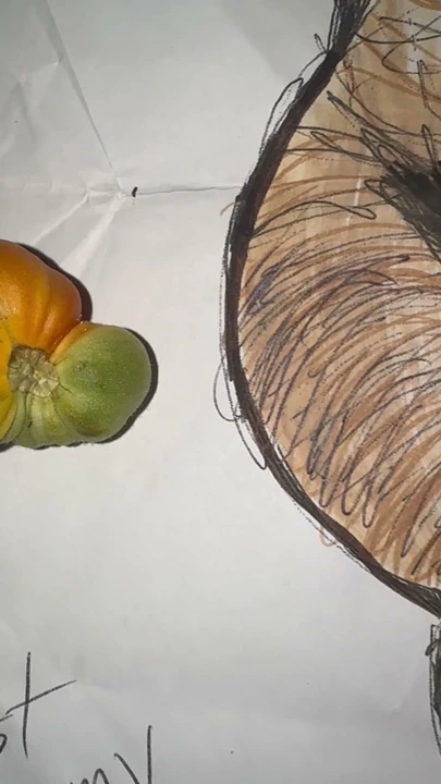 Bu bir WideHandz test mankeniydi. Bu orijinal çizimin bir kopyasıdır, birkaç renkli kalemle renklendirilmiştir.