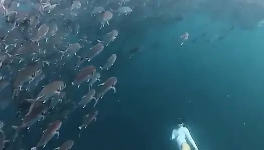 Denizde oynuyor