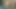 Korkak olduğunu her zaman aç için raw horoz