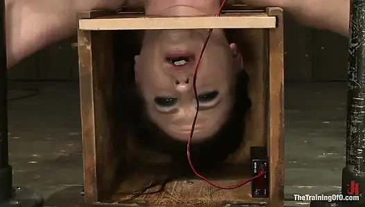 Orlando'dan bazı yardımlarla Sophie Monroe 4. gün dayanıklılık ve çıkmaz testi