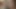 Cumshots & Creampies Derleme
