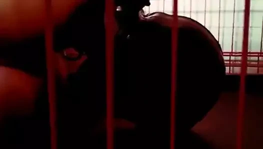 Kafesindeki sevimli köle! :3