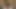 Sindy rose anal terörist götünü parçalıyor ve sarkıyor