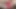 Seksi kırmızı iç çamaşırlı minyon genç kız etli amcığı ve şişmiş klitorisiyle oynuyor