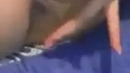 Bu kaltakla Fransa'da tanıştık