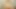 Firstclasspov - sarah vandella emmek ve bir canavar horoz lanet