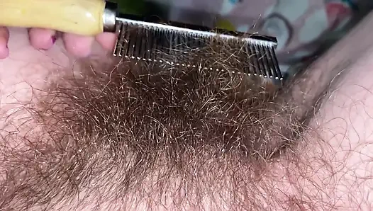 Escovando meu arbusto