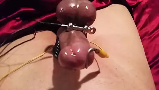 Dans eden estim