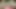 Indian desi Jija saali ki chudai hindi audio