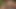 Suzy gökkuşağı porno video - mahsur kalmış gençler