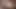 Yüz dildo - on günlük oyuncaklar ve azdırma: 6. gün
