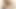 Ateşli orta yaşlı seksi sürtük kocasını prezervatifsiz aldatıyor