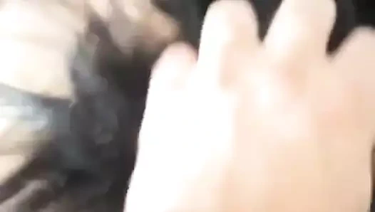 Gavatlar Birligi - video 141