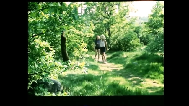 Шведский винтаж