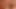 Harika bir rafa sahip seksi esmer sıkı amcığını kanepede gerdiriyor
