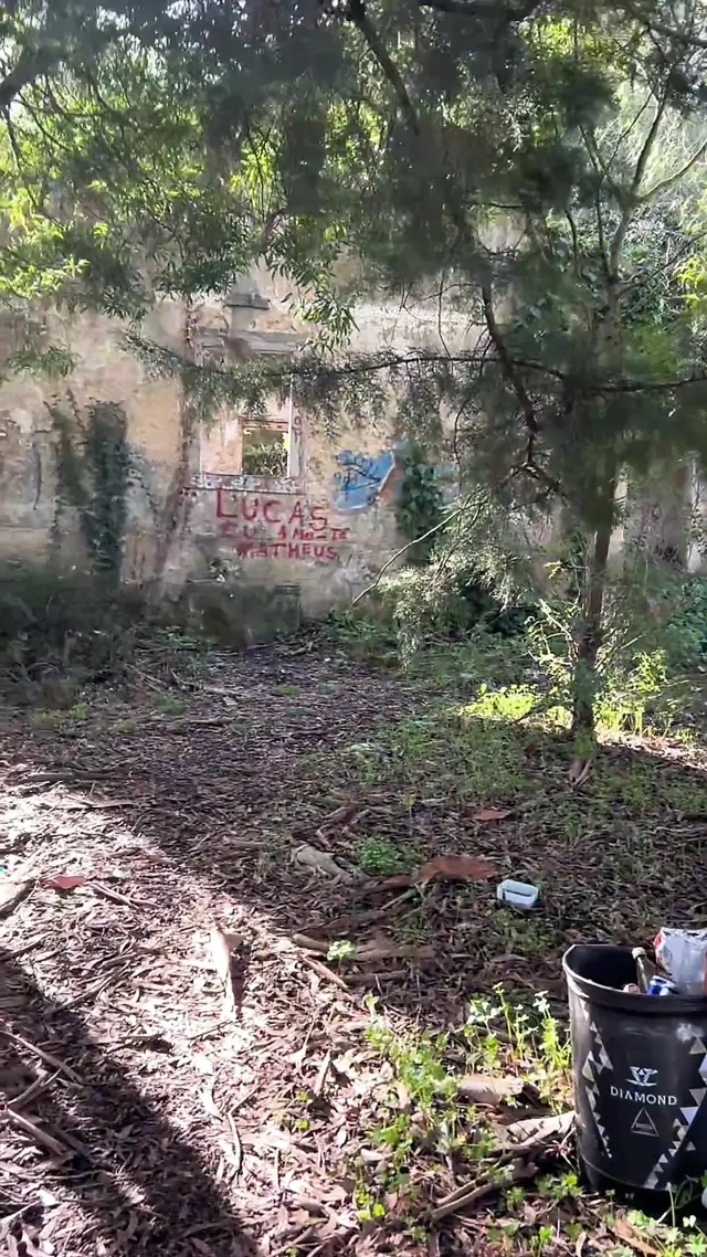 Yürüyüşçü erkek kardeş terk edilmiş binada döl atıyor