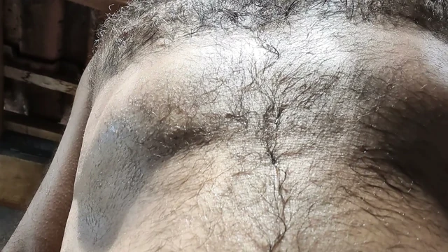 Yaramaz, tüylü ve terli erkeğin terli kıllarına yakın çekim