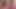 Piggy Rose büyük ayı ve lucipork ile xbiz miami'de yayın yapıyor