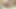 Seksi zenci web kamerası sürtüğü
