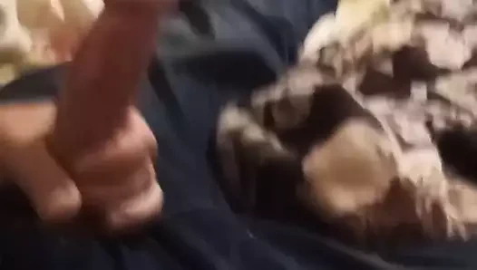 yavru kedi olmak sürtük