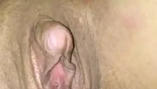 Greluda 4
