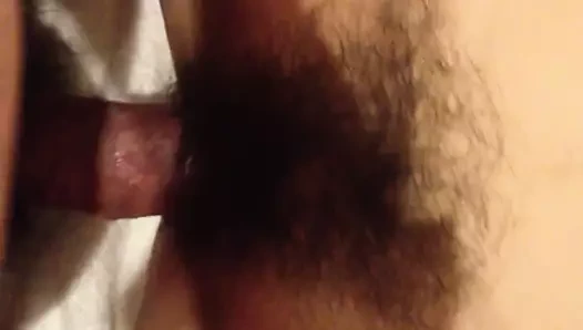 lanet kıllı koltuk altı çin ile ultra kıllı KEDİ