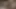 Baştan çıkarıcı orta yaşlı seksi kadın lezbiyenler patlayıcı orgazm için ıslak amcıklarını parmaklıyor