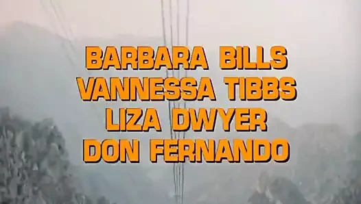 California jigolo 1979, john holmes ve kandi barbour