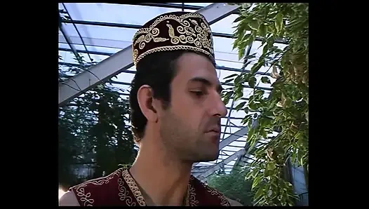 Arap Dansçılar Horozu Gerçekten Seviyor - Vol. #01