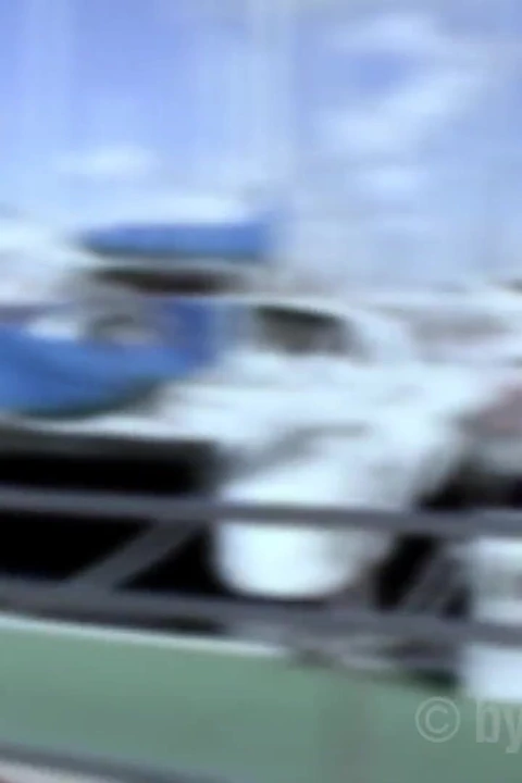 Seksi Plaj Seks Istiyor