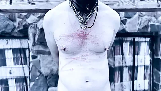 АДСКАЯ ПОРКА ГРУДИ ТРОСТАЦИЕЙ, РАСПЯТИЕ, РАСПЯТИЕ