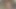 Smalltits güreş daykları aşk oral