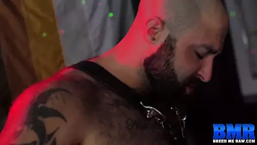 BREEDMERAW Bottom Stud Atlas Grant Chained Before Bareback