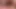 İki güzel ve muhteşem travestinin çarpıcı oral seksi