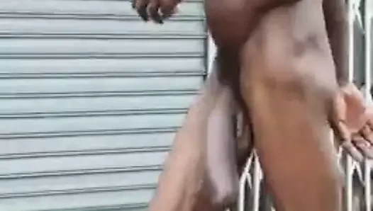 Sokakta büyük siyah horoz