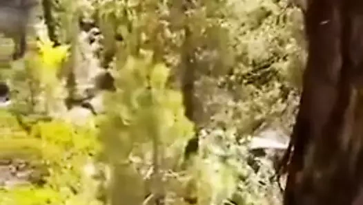 Murree Tiktoker viral video seks