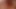 Ein Fototermin artet aus